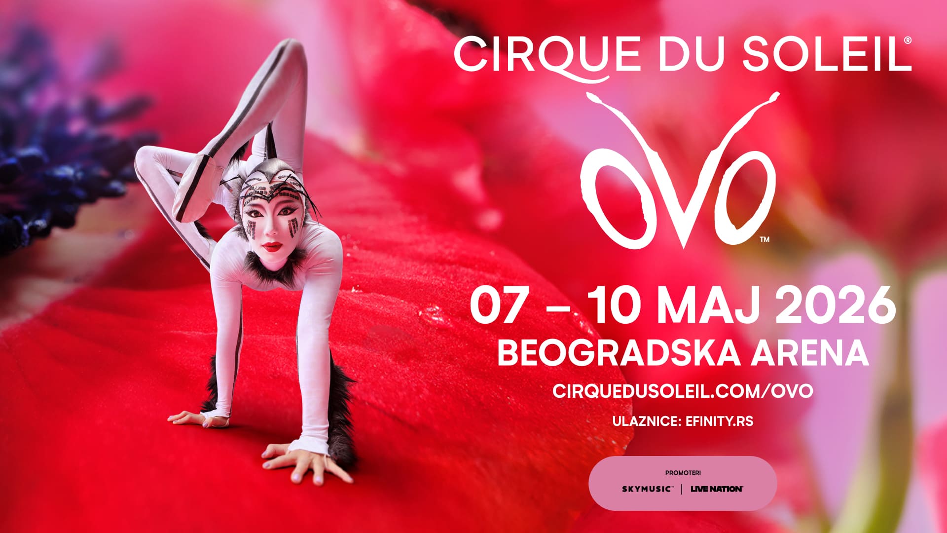Ulaznice za najveću svetsku atrakciju Cirque du Soleil i predstavu „OVO“ OD DANAS u prodaji